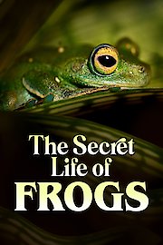 The Secret Life of Frogs