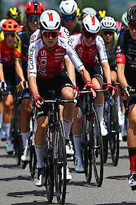 Twas the Night Before Christmas Collection