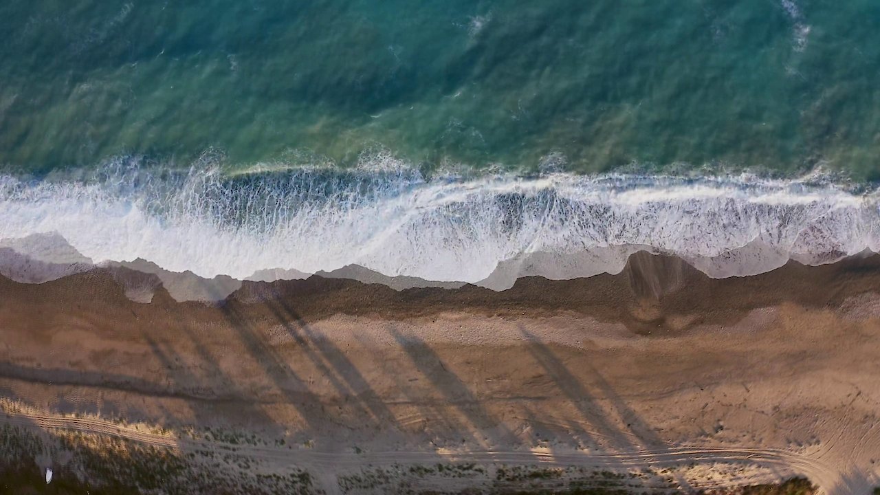 Sleepy Book: Reflections