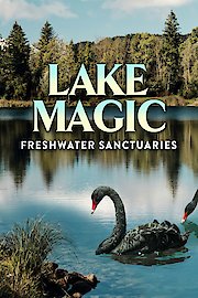 Lake Magic