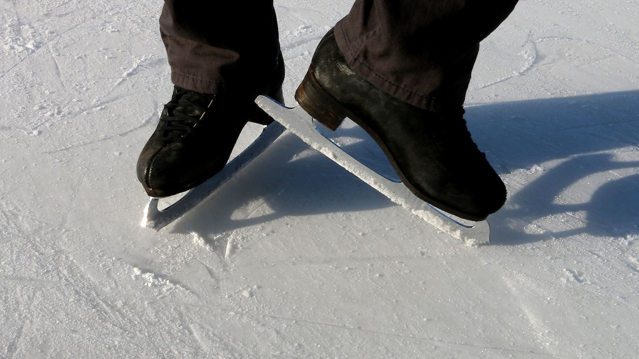 Go Figure: the Randy Gardner Story