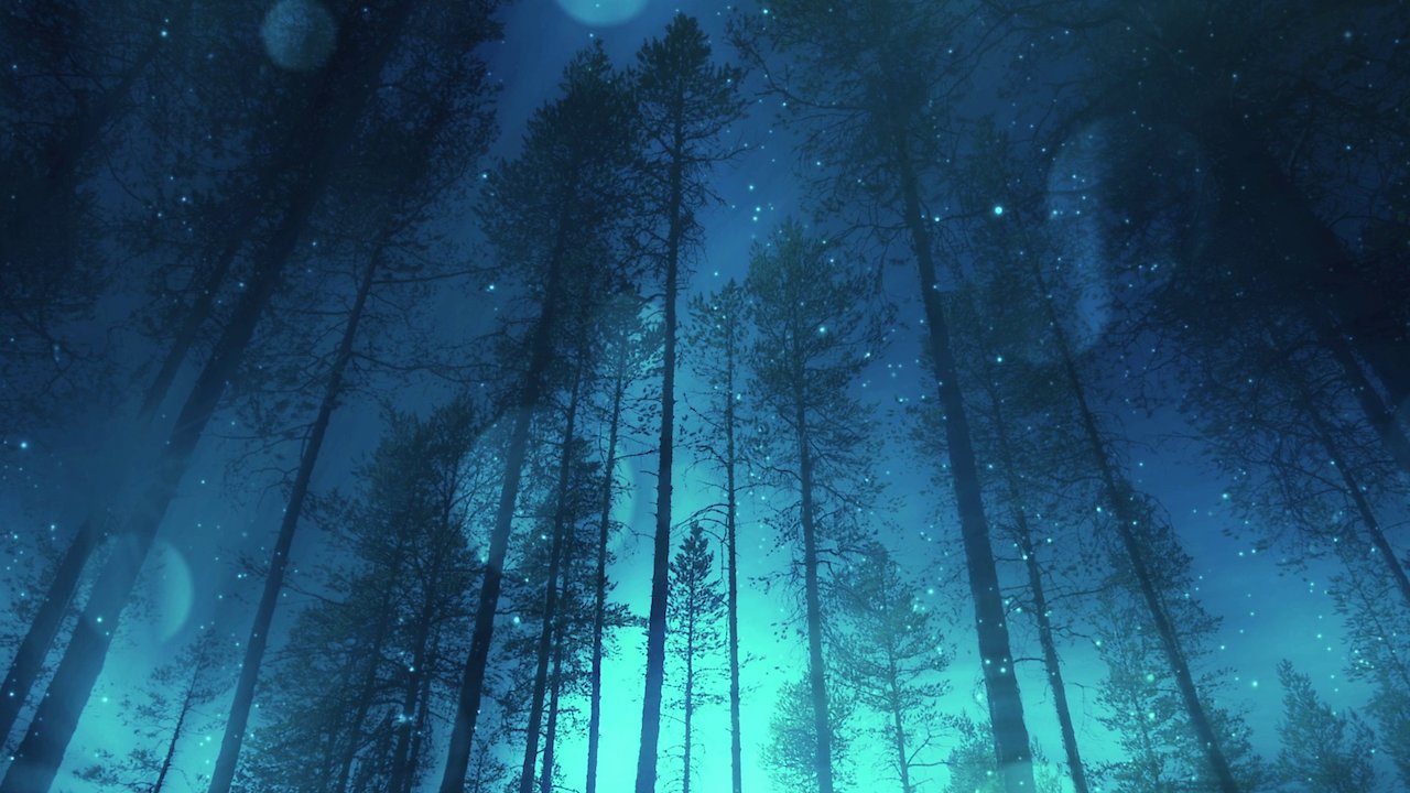 Zen Sleep Inducers: Enchanted Forest Odyssey