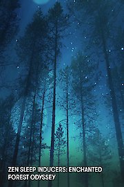 Zen Sleep Inducers: Enchanted Forest Odyssey