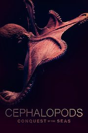 Cephalopods Conquest of the Seas