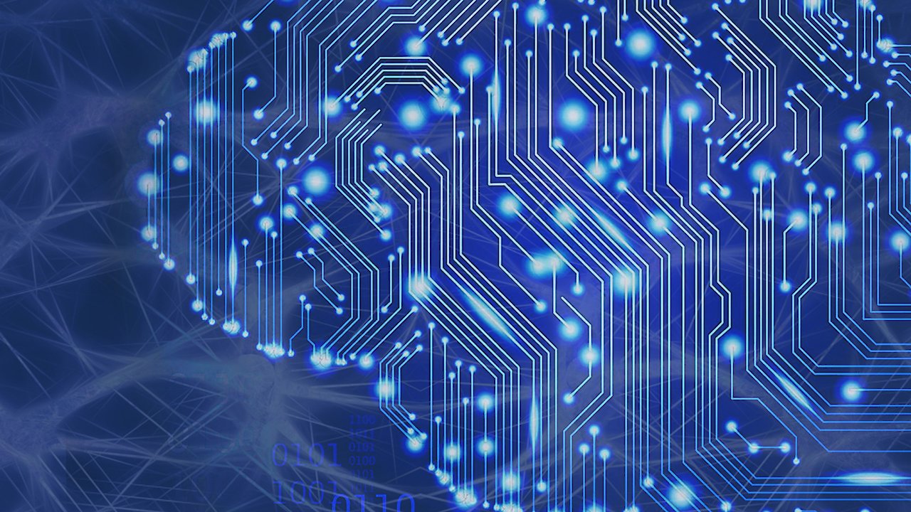 The Plastic Fantastic Brain