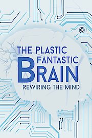 The Plastic Fantastic Brain