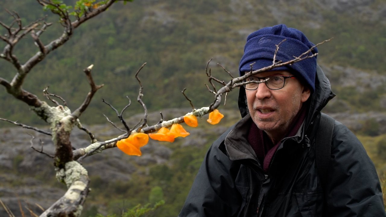 The Lost Island of Madre de Dios