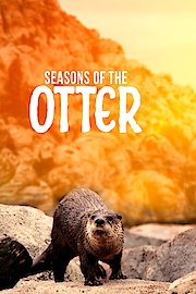 Seasons of the Otter