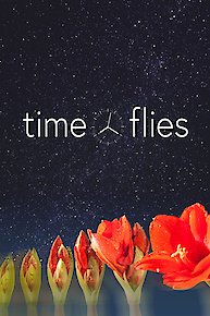 100 Years of Japanese Cinema