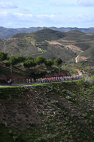 Trump's Road to the White House