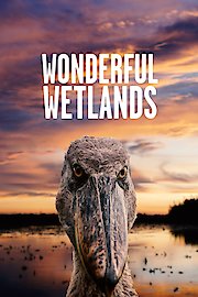 Wonderful Wetlands