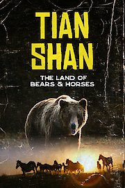 Tian Shan Land of Bears and Horses