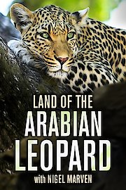 Land of The Arabian Leopard