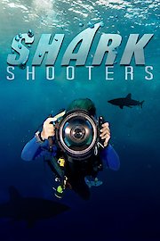 Shark Shooters