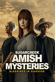Sugar Creek Amish Mysteries: Blessings in Disguise