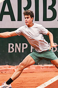 The Hunger Games 5-Film Collection