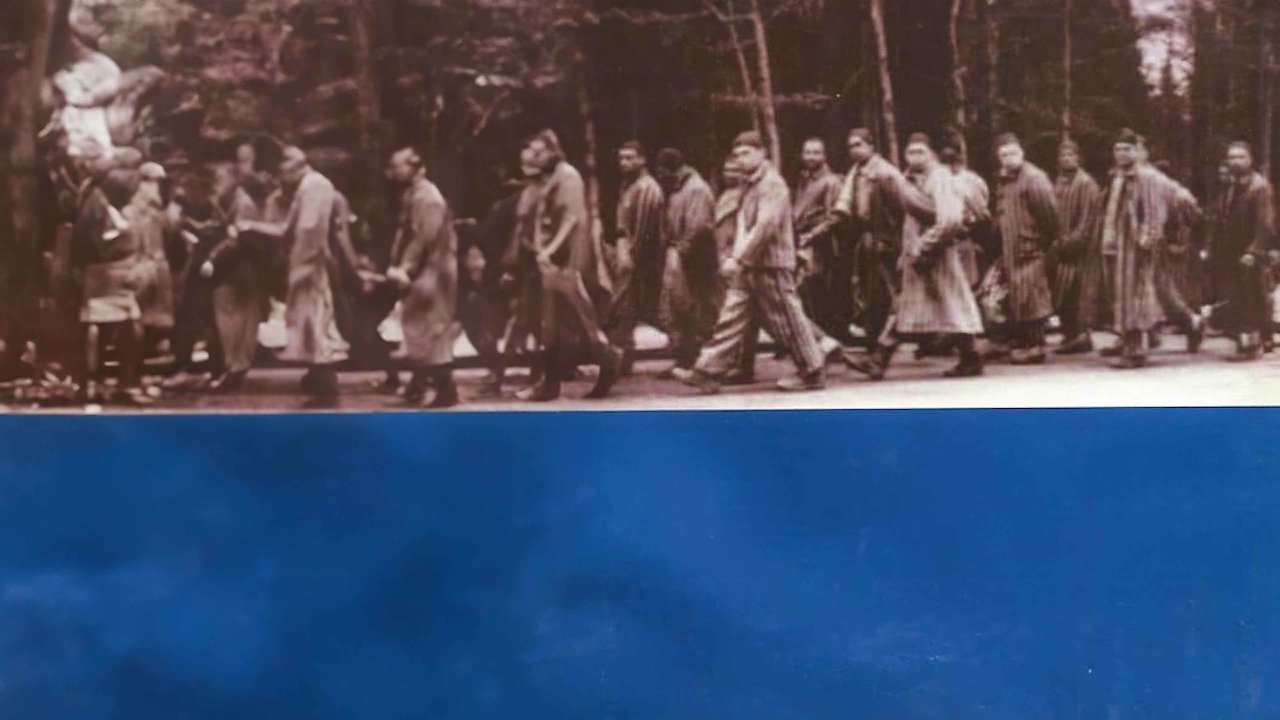 The Boys: Triumph Over Adversity