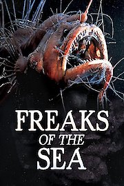 Freaks of the Sea