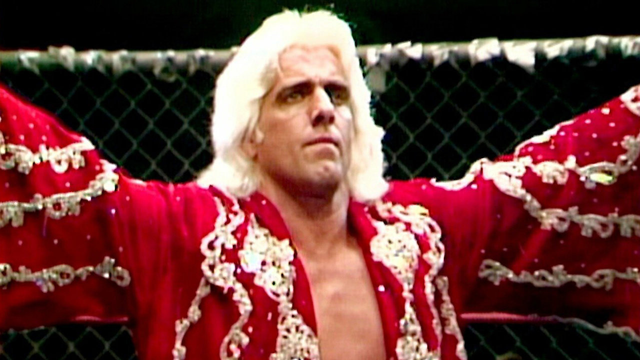 WWE Nature Boy Ric Flair - The Definitive Collection