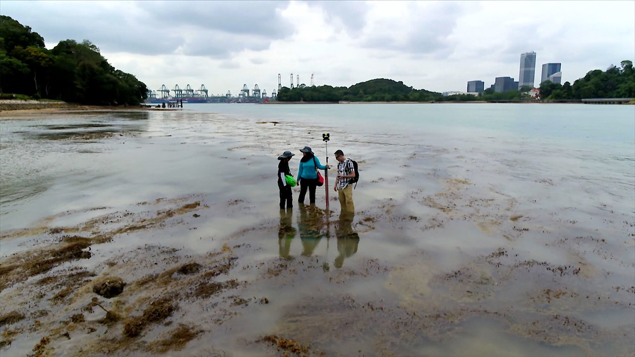 The Carbon Conundrum