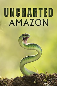 Pink Foxx: For Foxx Sake