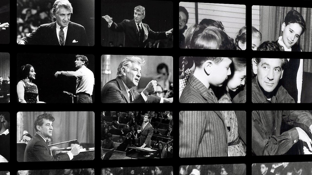 The Anatomy of a Symphony Orchestra