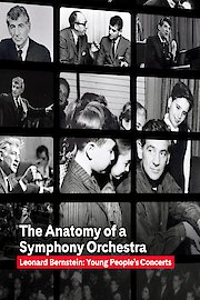 The Anatomy of a Symphony Orchestra