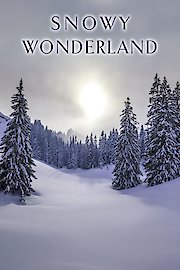 Snowy Wonderland