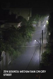 Zen Sounds: Medium Rain on City Street