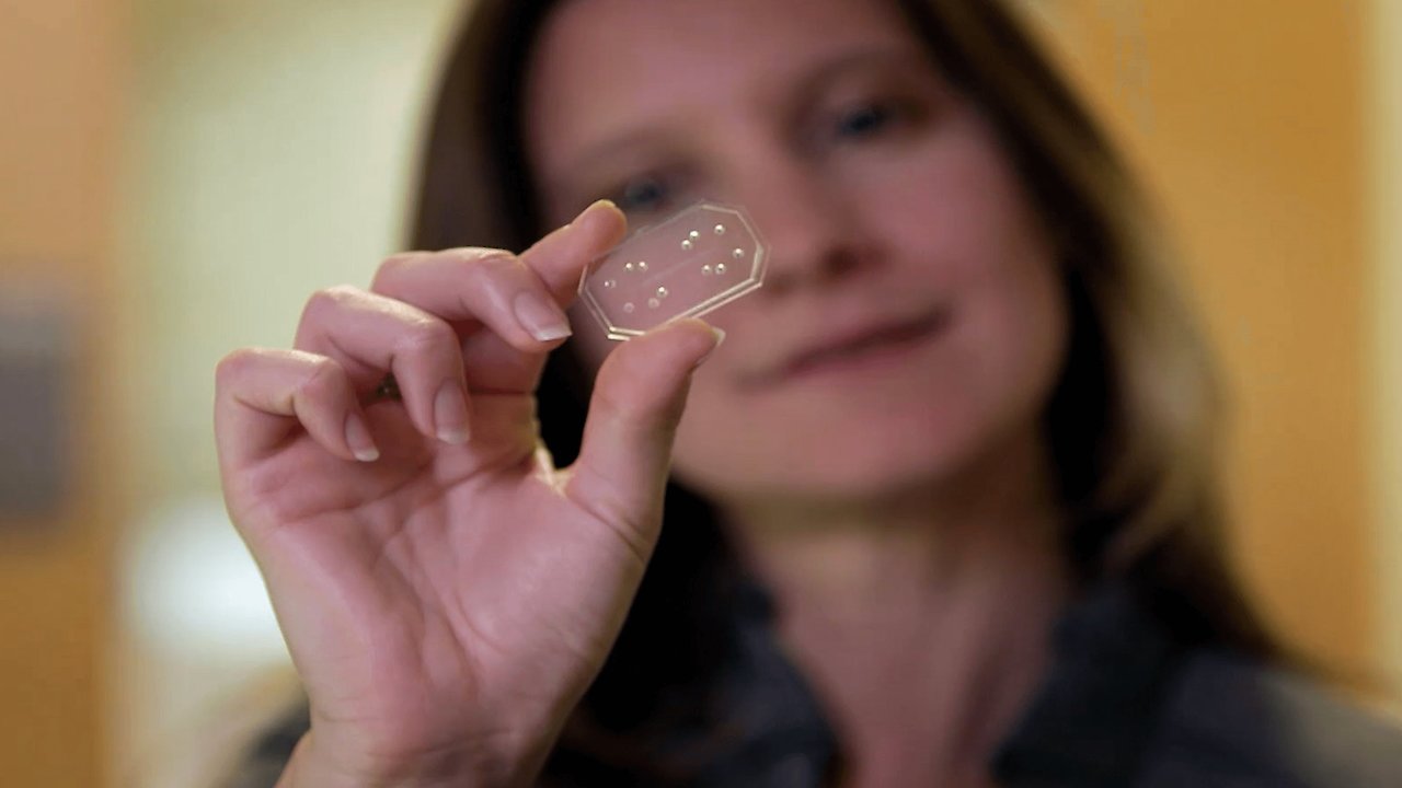 The Nature of Invention