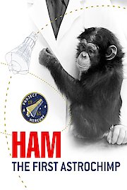 Ham The First Astrochimp