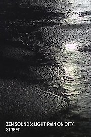 Zen Sounds: Light Rain on City Street