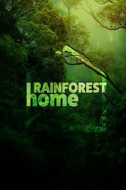 Rainforest Home