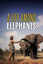 A Life Among Elephants