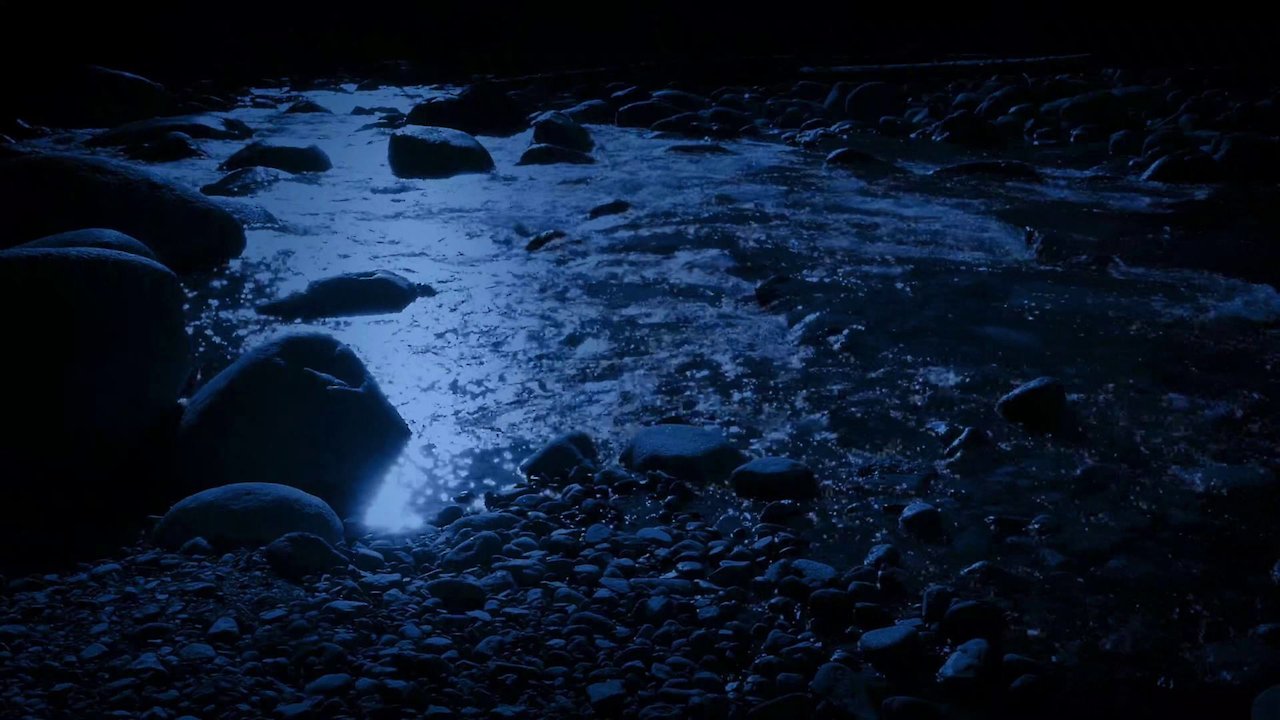 Sleep Helpers: Do We Have a Sixth Sense?