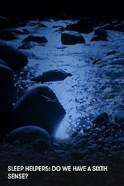 Sleep Helpers: Do We Have a Sixth Sense?