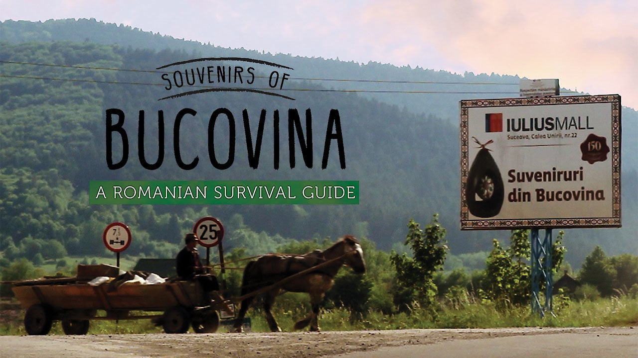 Souvenirs of Bucovina: A Romanian Survival Guide