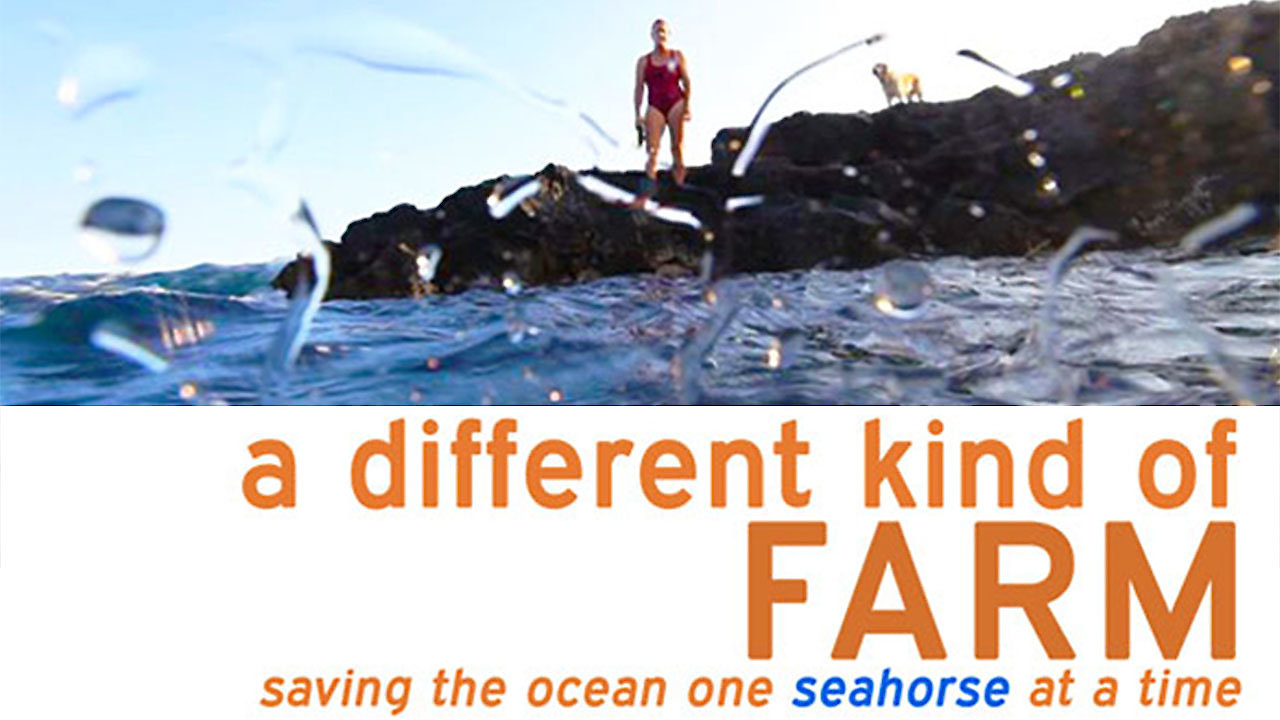 A Different Kind of Farm