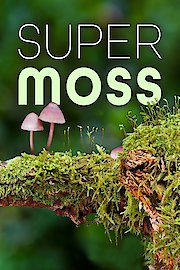 Super Moss