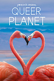 Queer Planet