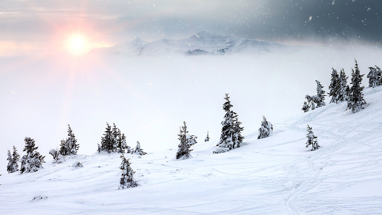 A Relaxing Christmas