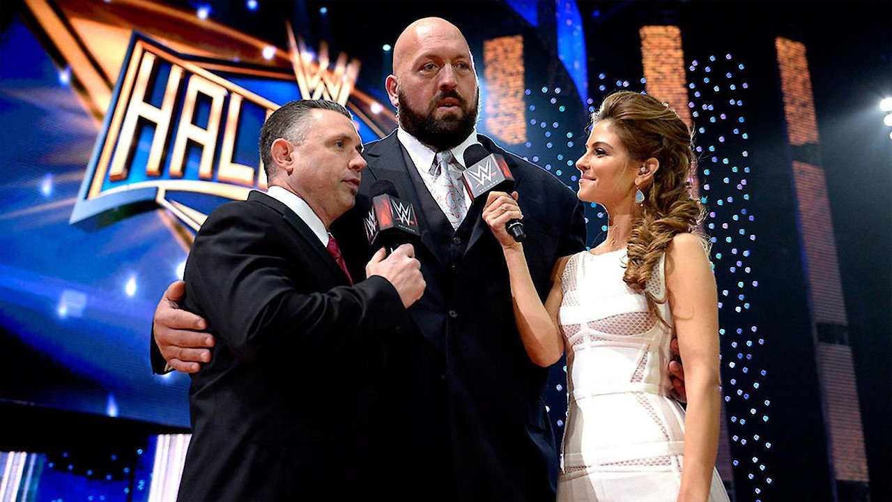 WWE Hall of Fame 2014 Red Carpet