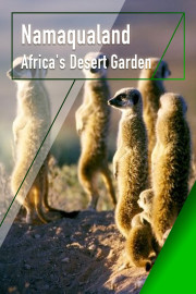 Namaqualand