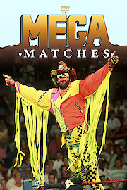 Mega Matches