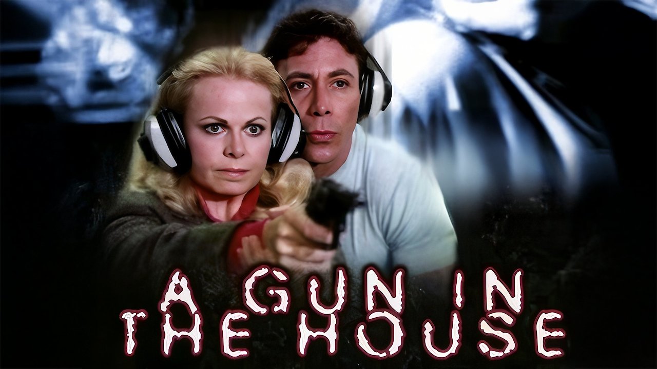 A Gun In The House