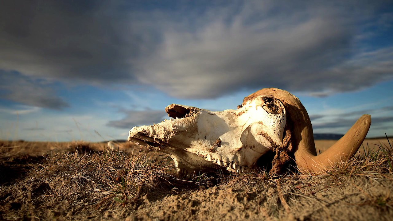 Extinction: Going, Going, Gone