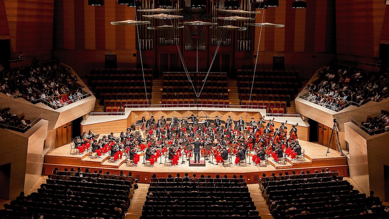 Seven Women The Irish Suffragettes