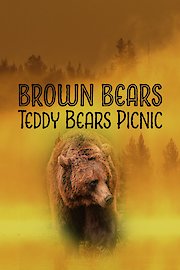 Brown Bears - Teddy Bears Picnic