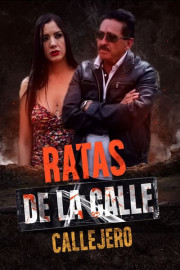 Ratas de la calle: callejero
