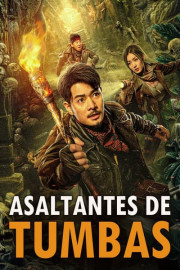 Asaltantes de tumbas